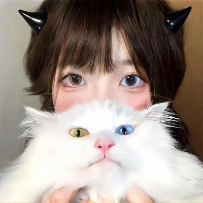 龙牌之谜