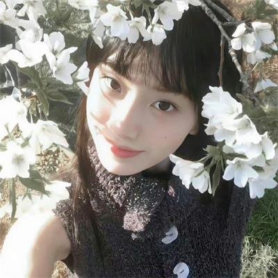 风月靡情